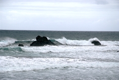 DSCF5479