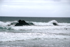 DSCF5480