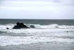 DSCF5481