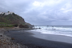 DSCF5483