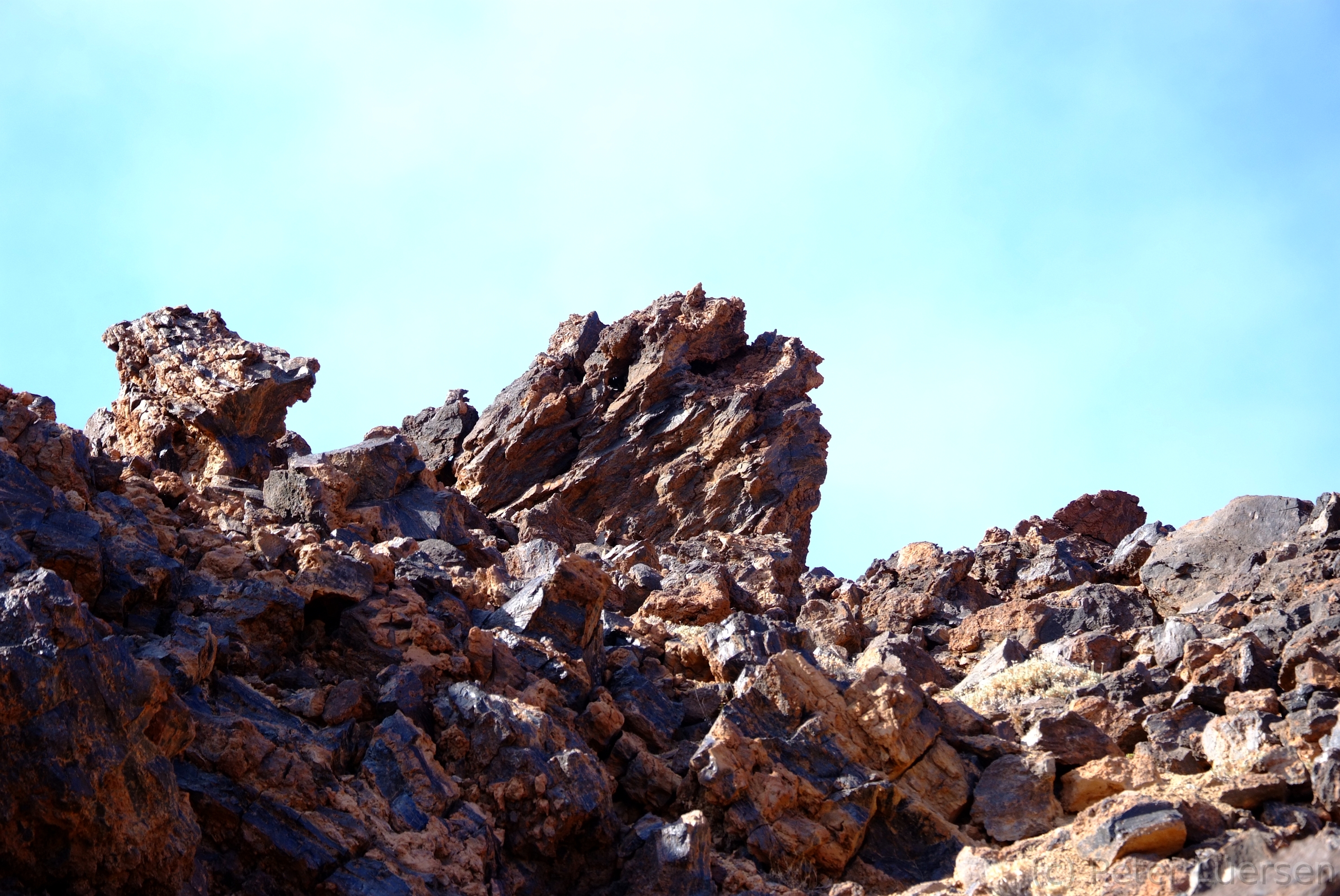 DSCF5498.JPG