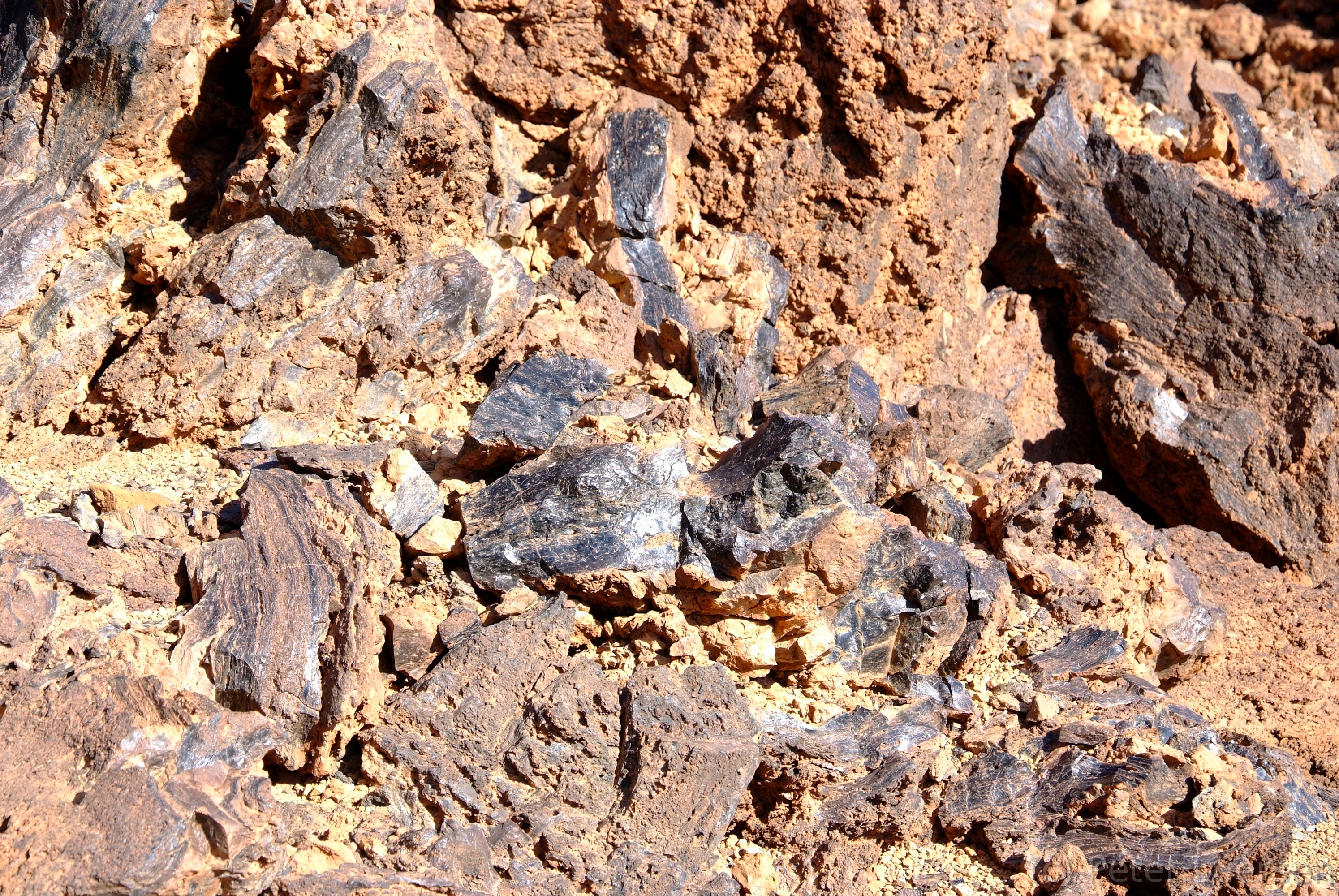 DSCF5504.JPG