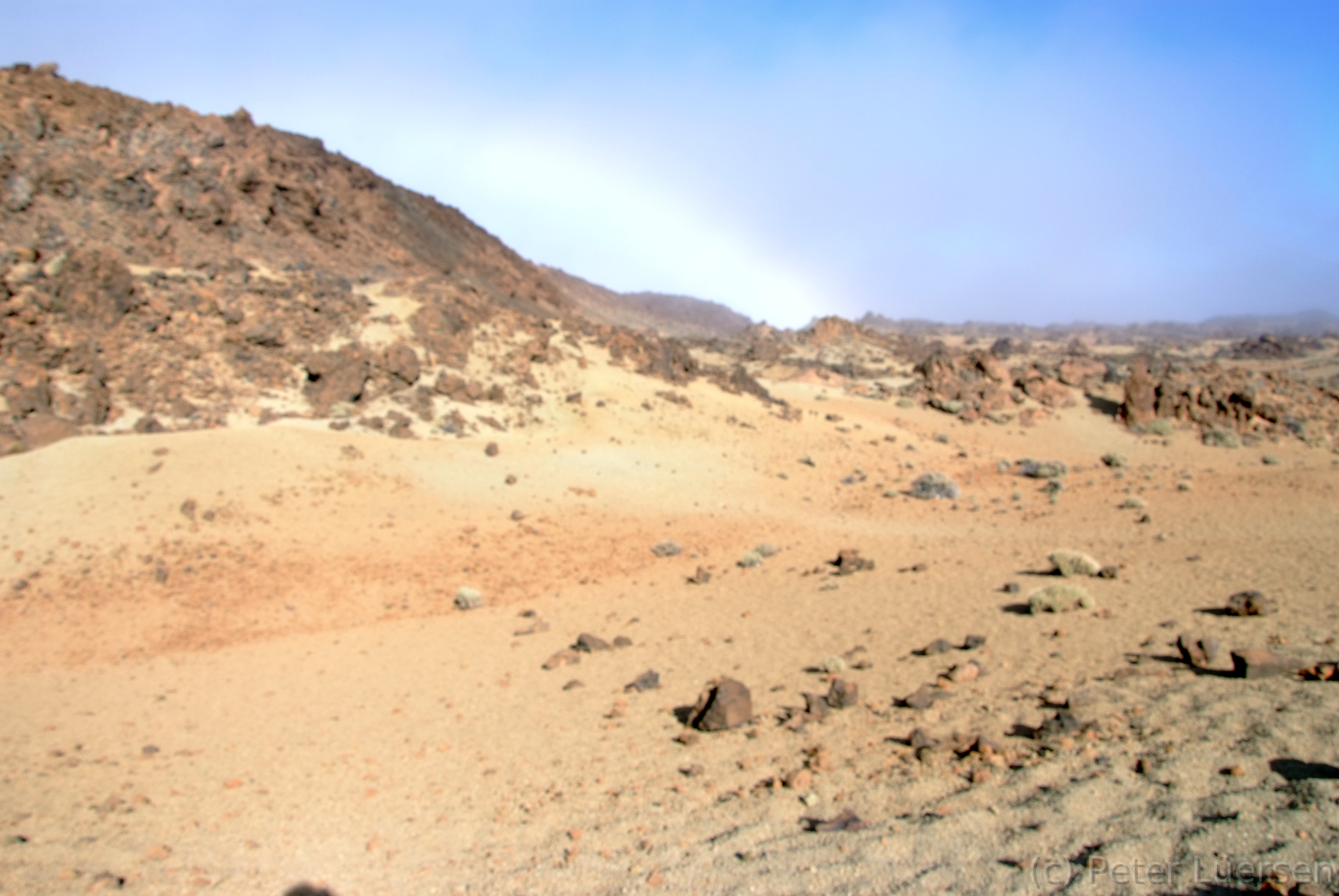 DSCF5511.JPG