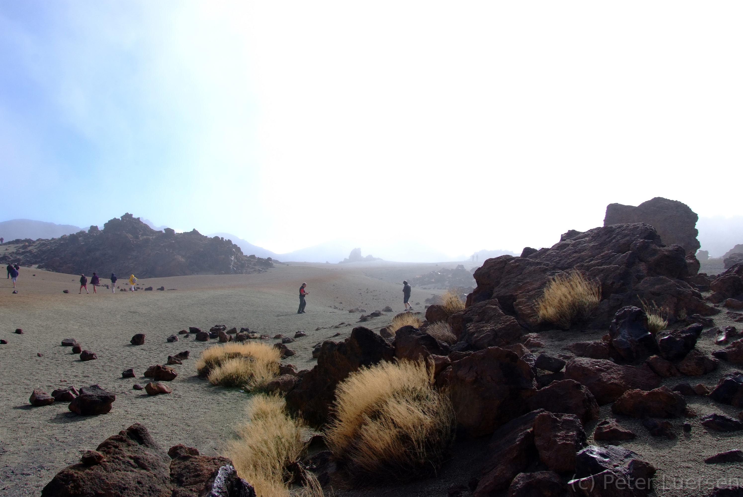 DSCF5517.JPG