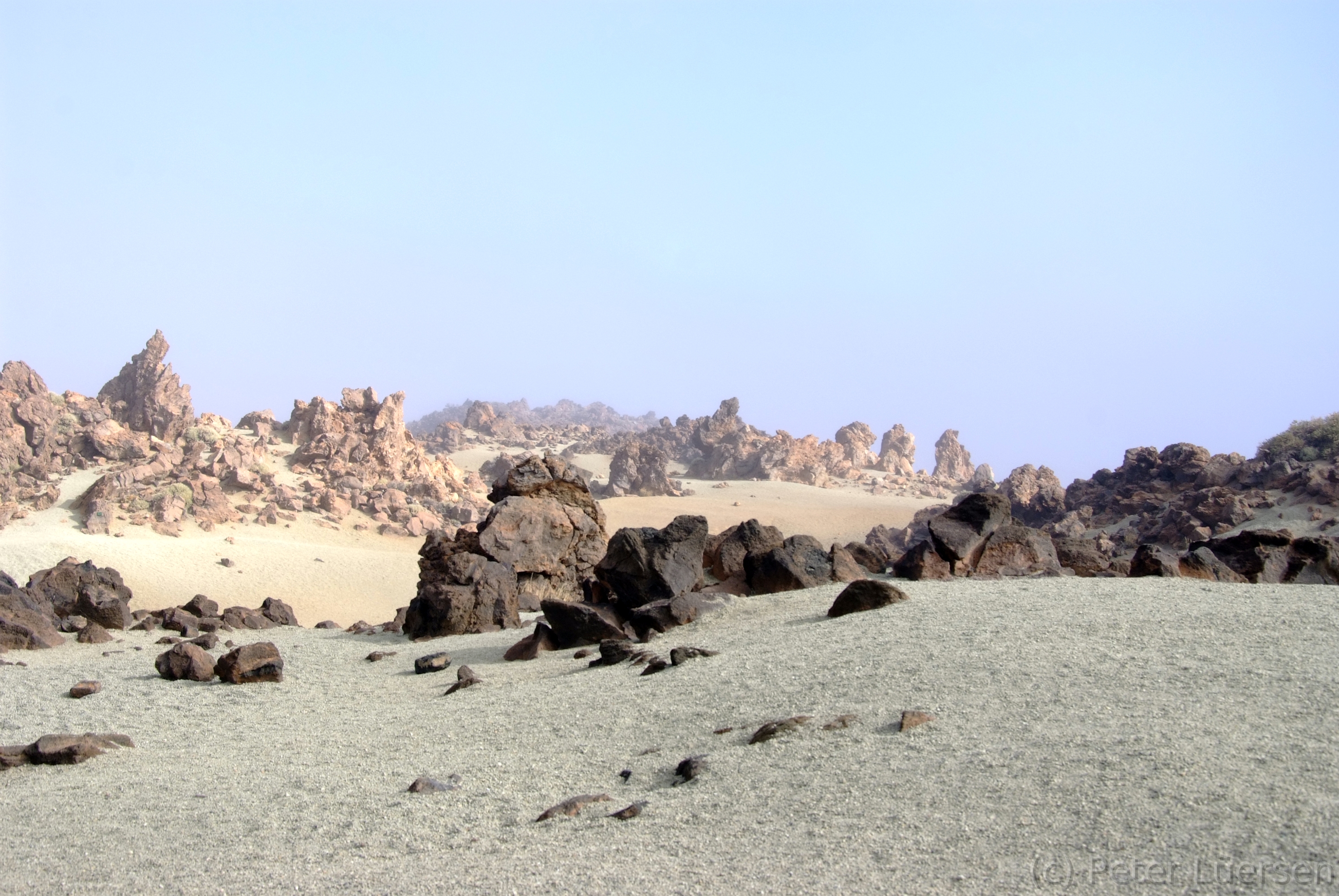 DSCF5518.JPG