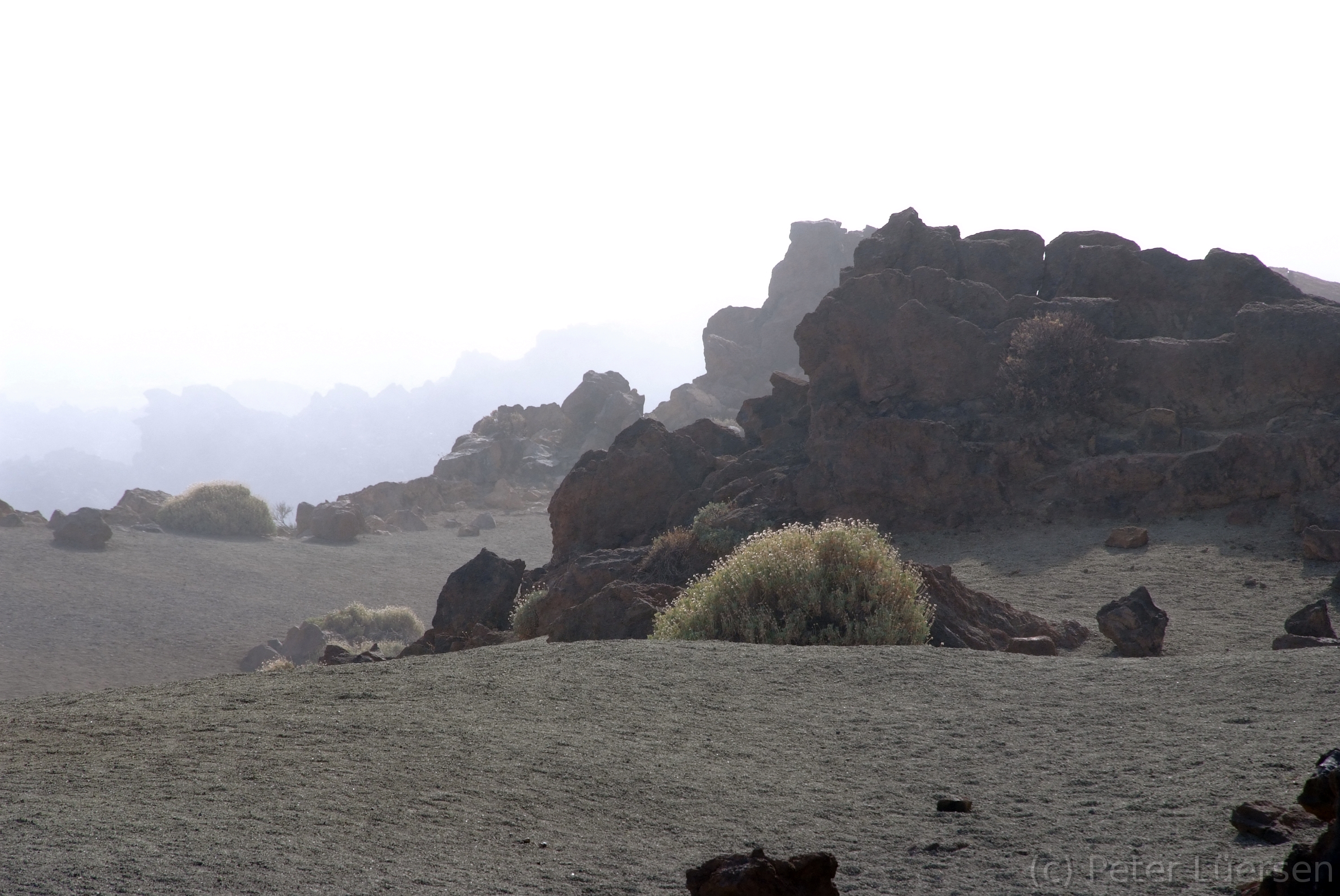 DSCF5523.JPG