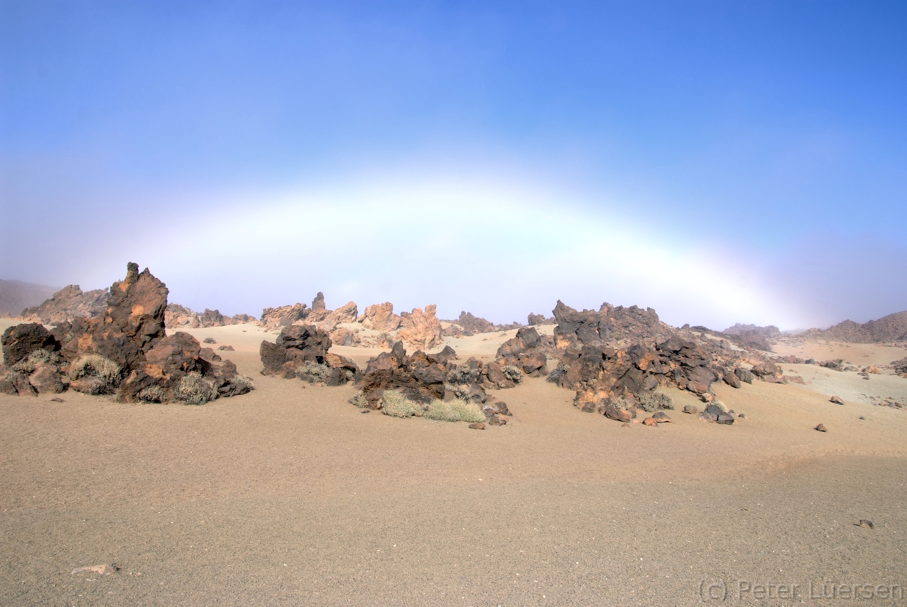 DSCF5531.JPG