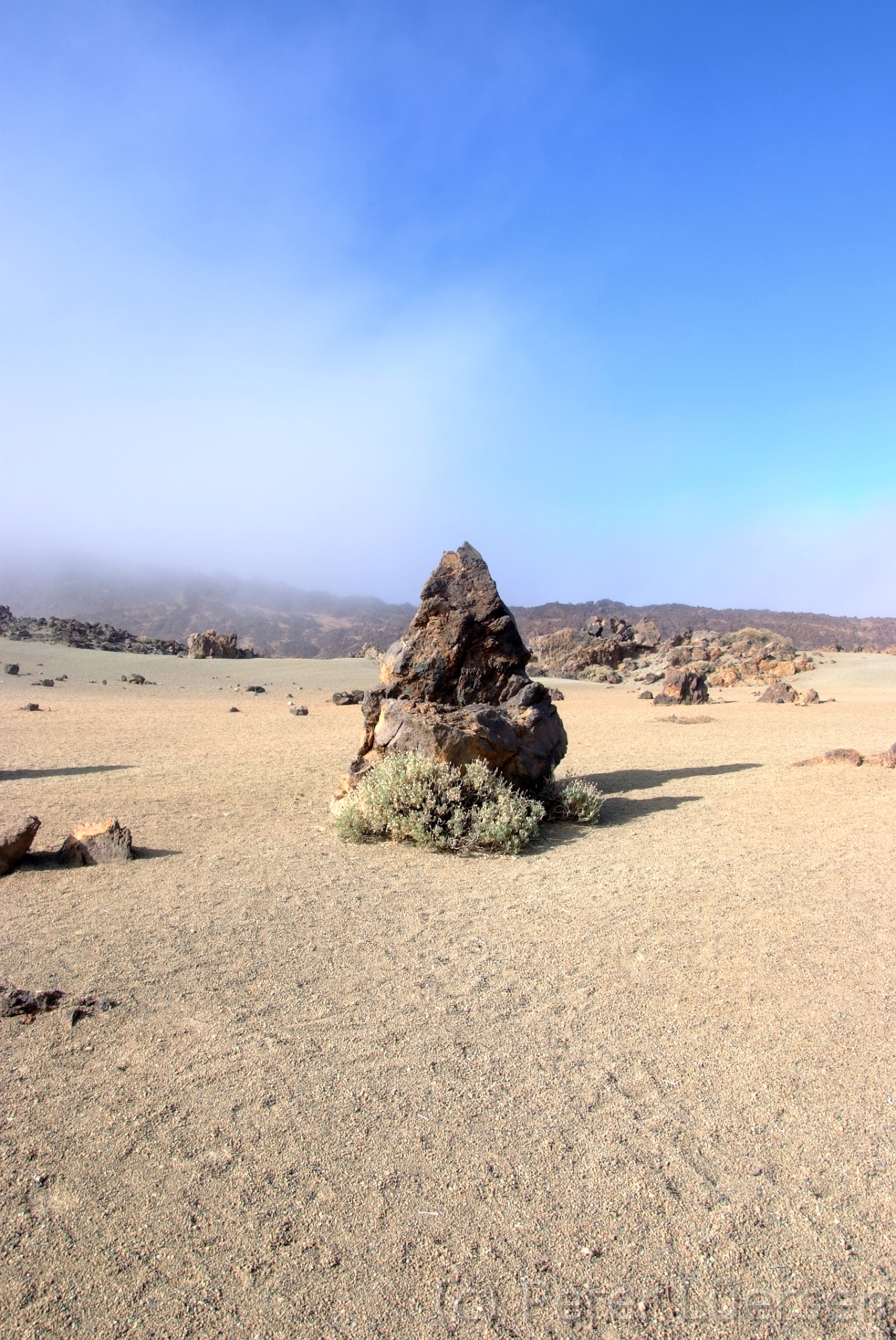 DSCF5533.JPG