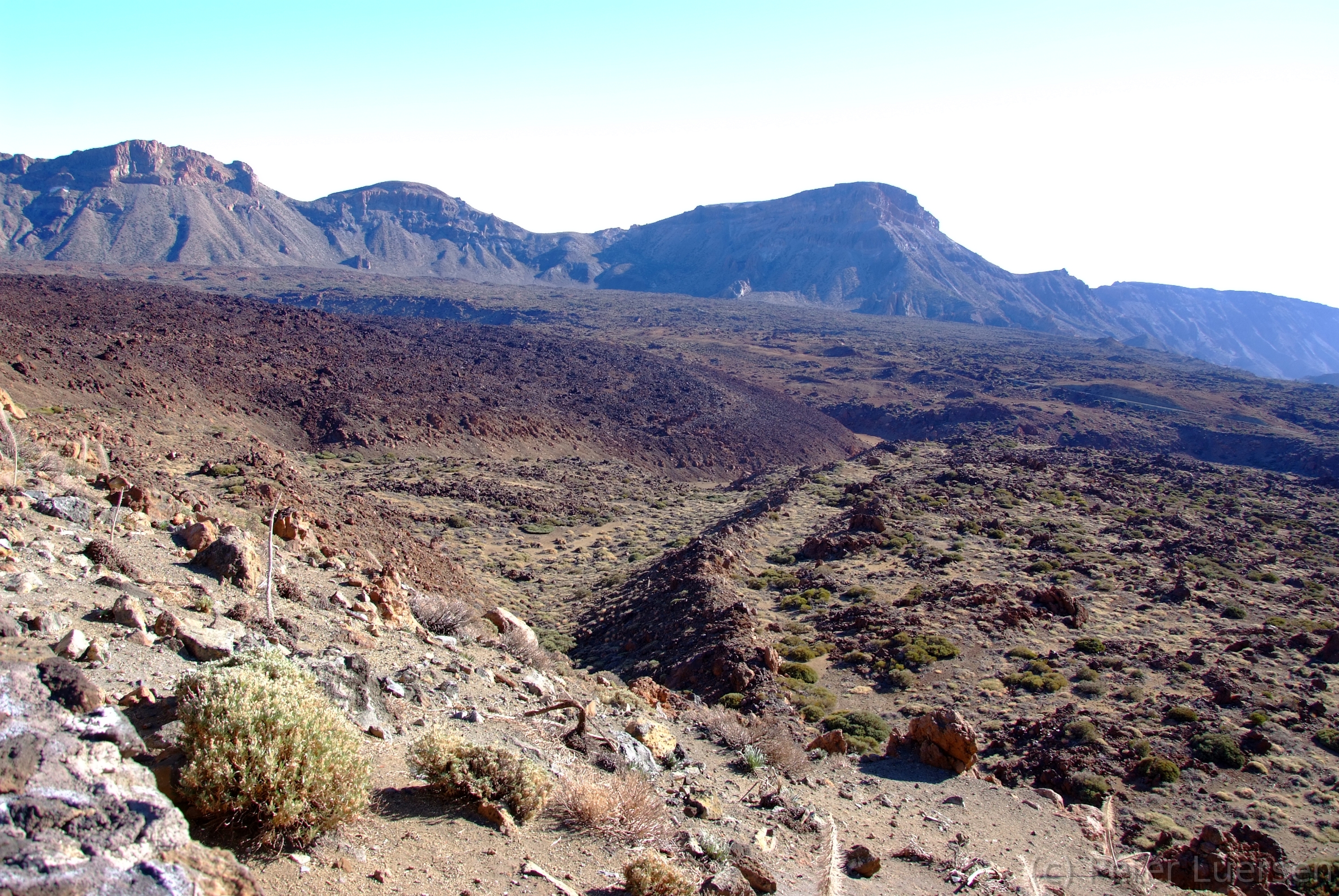 DSCF5546.JPG