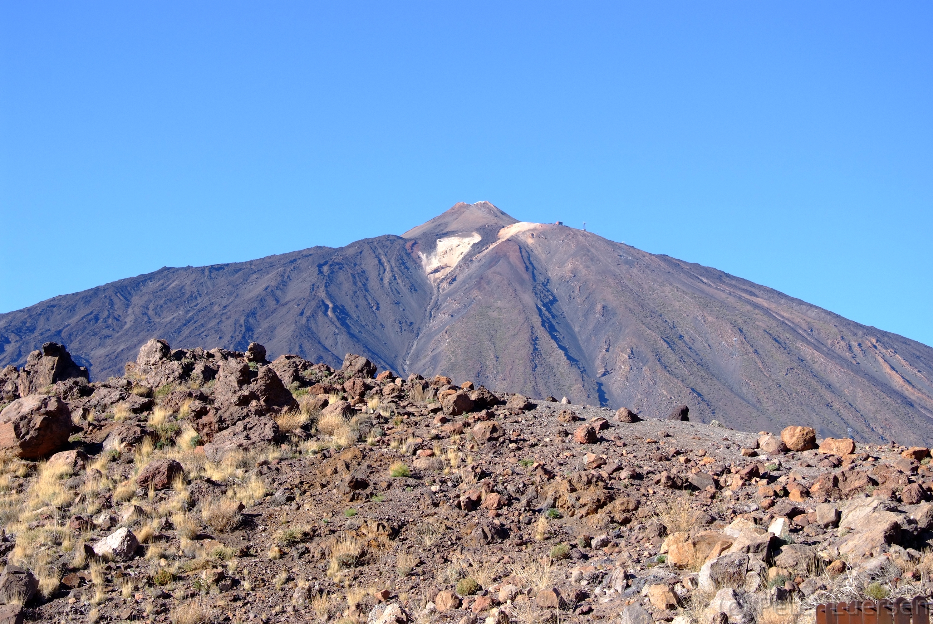 DSCF5551.JPG