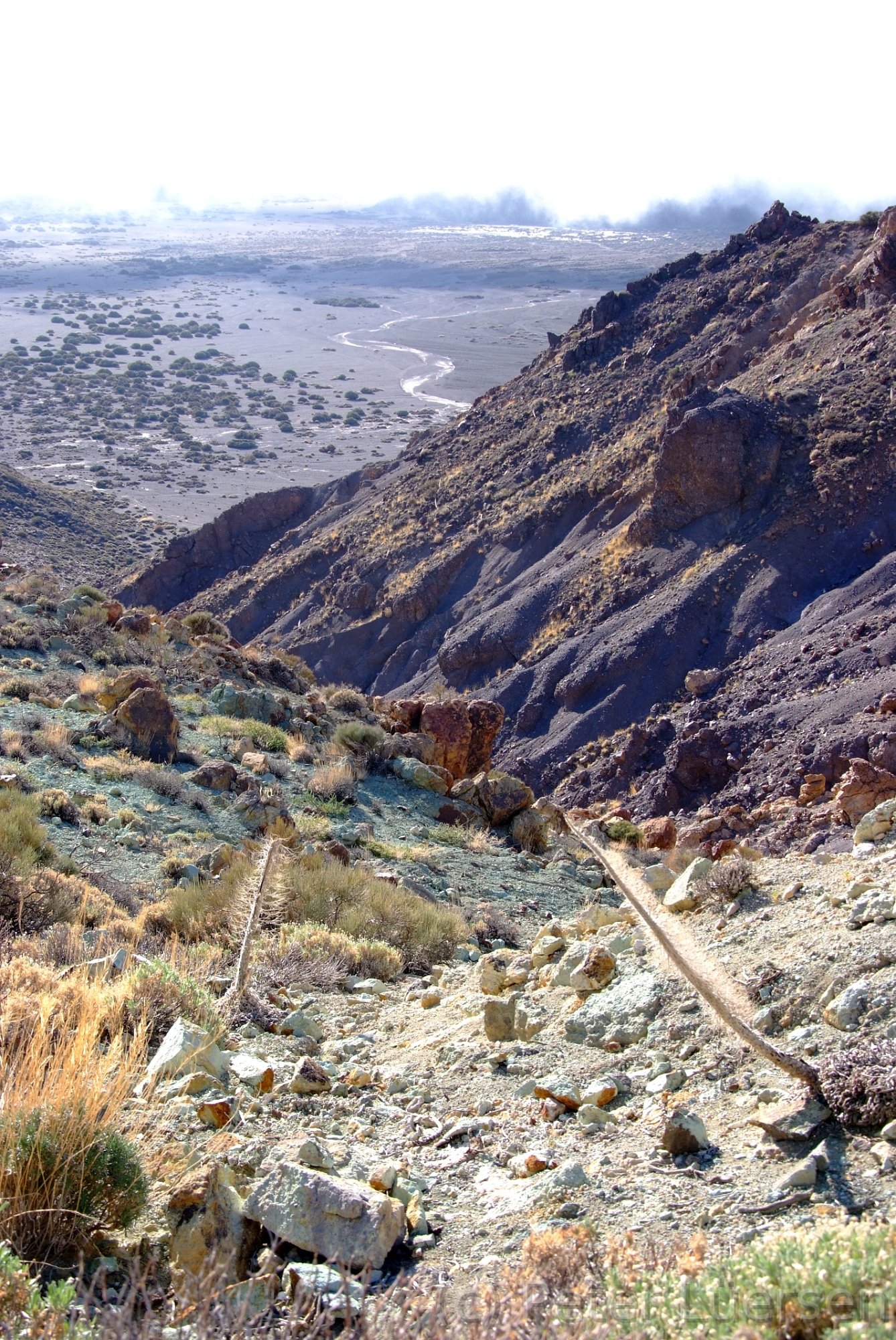 DSCF5555.JPG