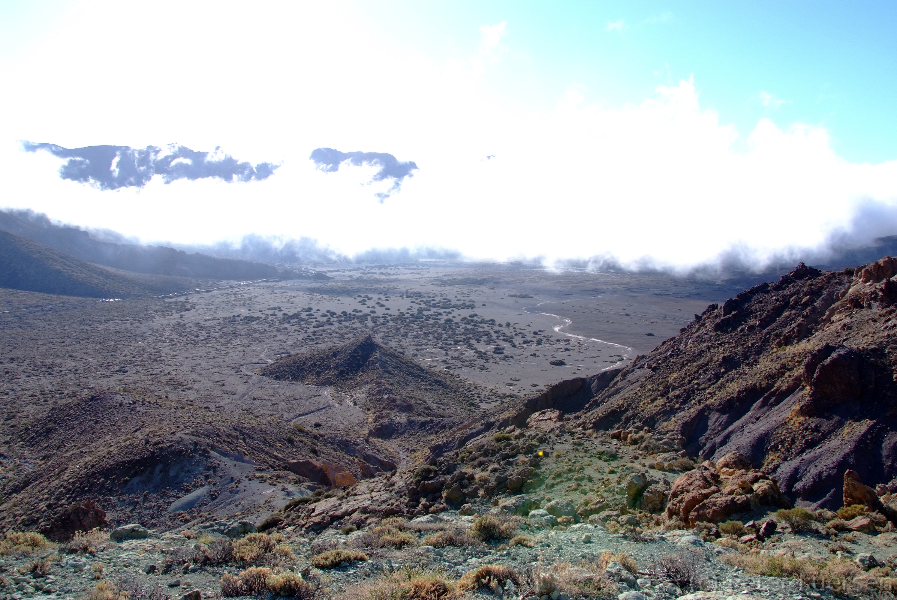 DSCF5556.JPG