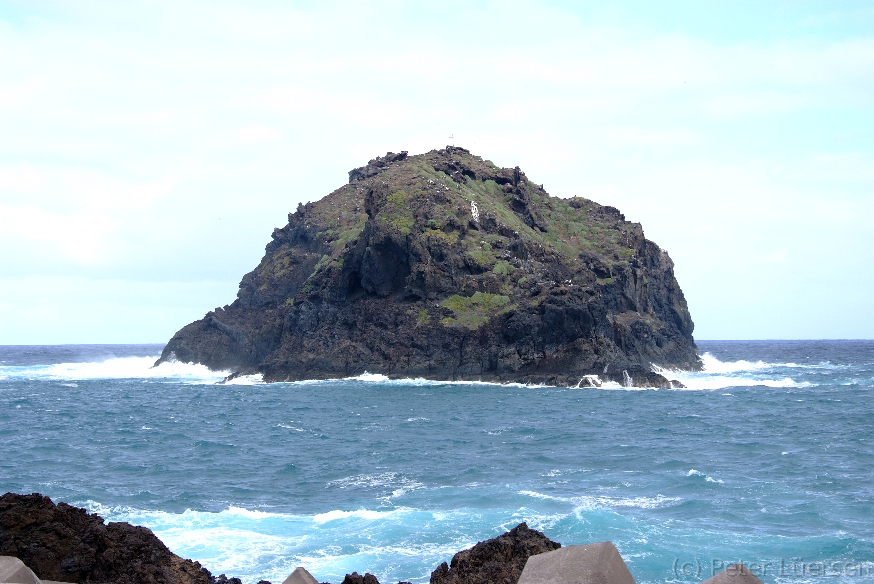 DSCF5573.JPG