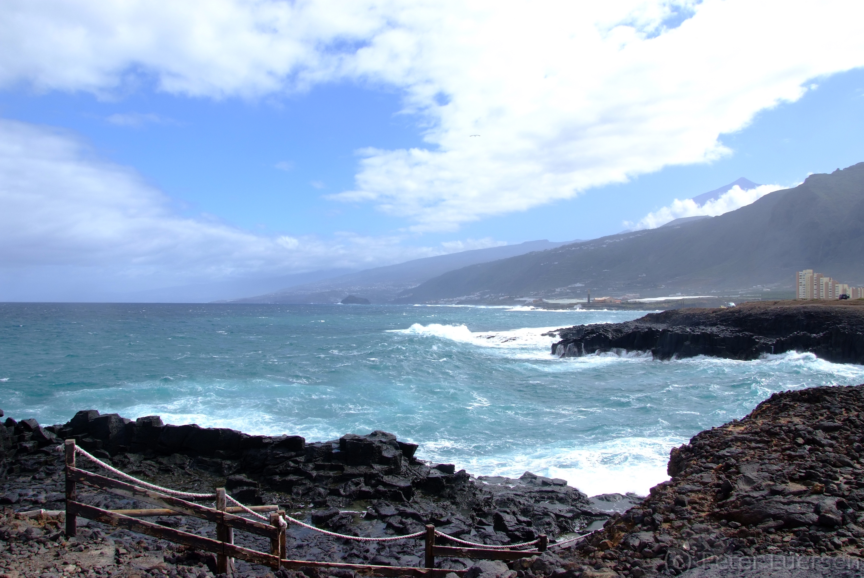 DSCF5596.JPG
