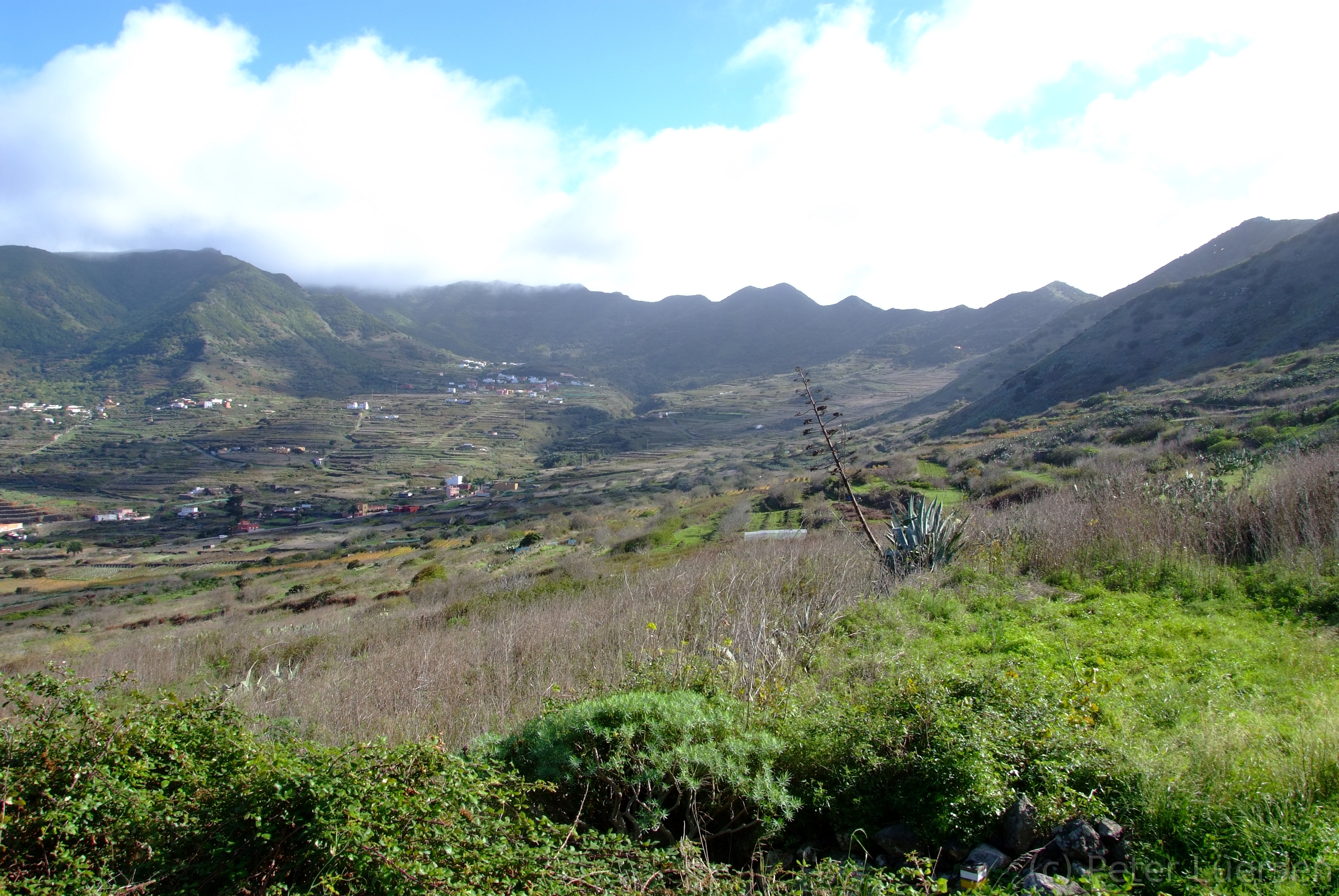 DSCF5608.JPG