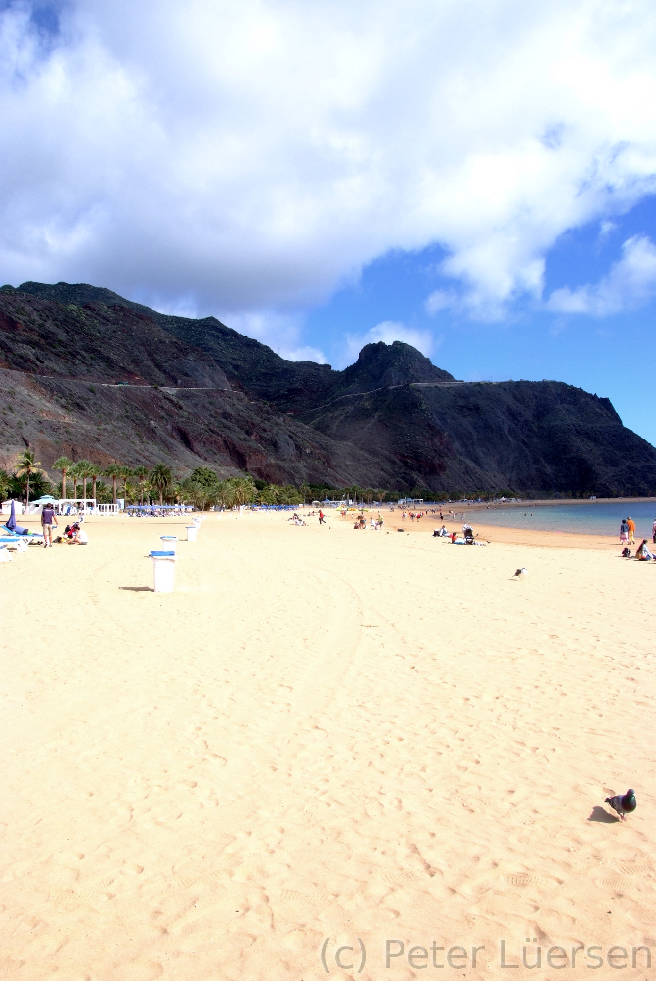 DSCF5617.JPG