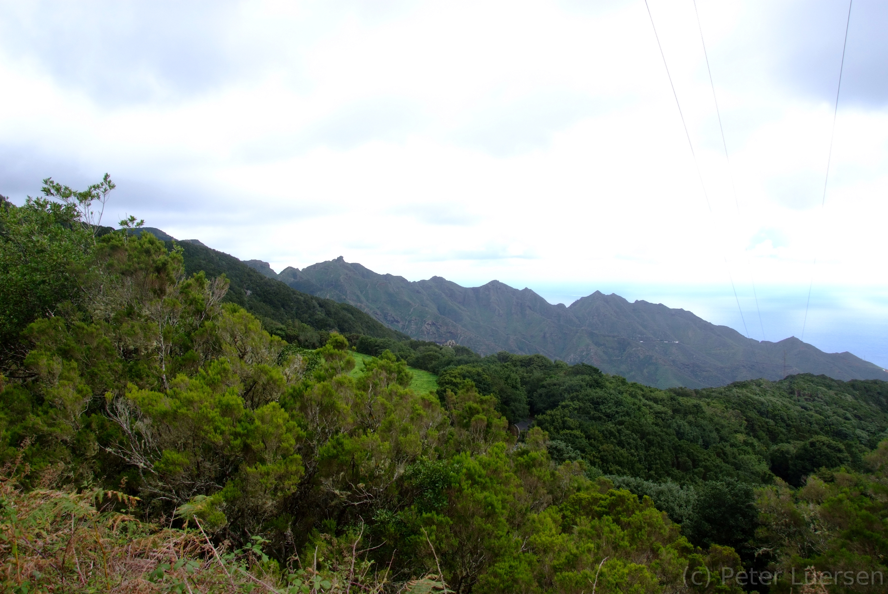 DSCF5624.JPG