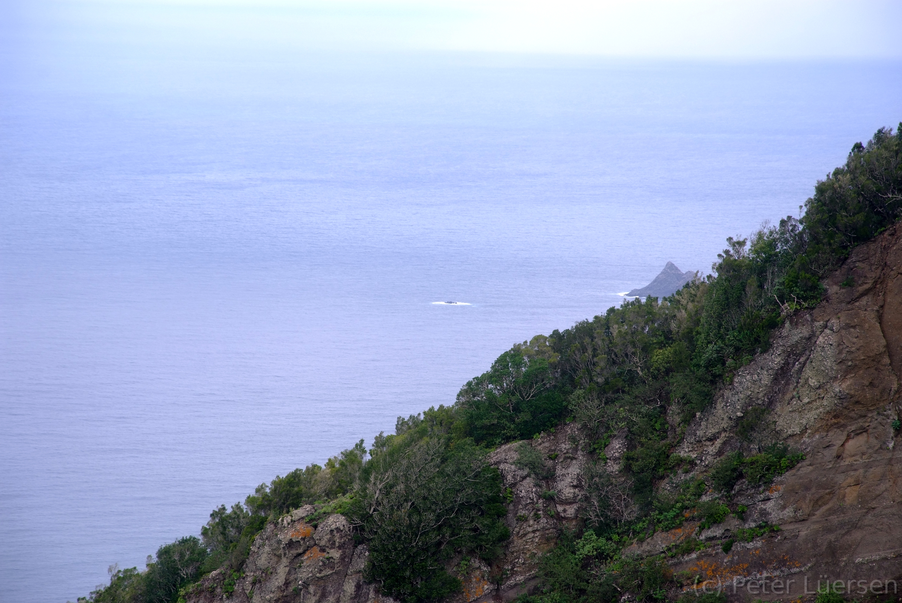 DSCF5625.JPG