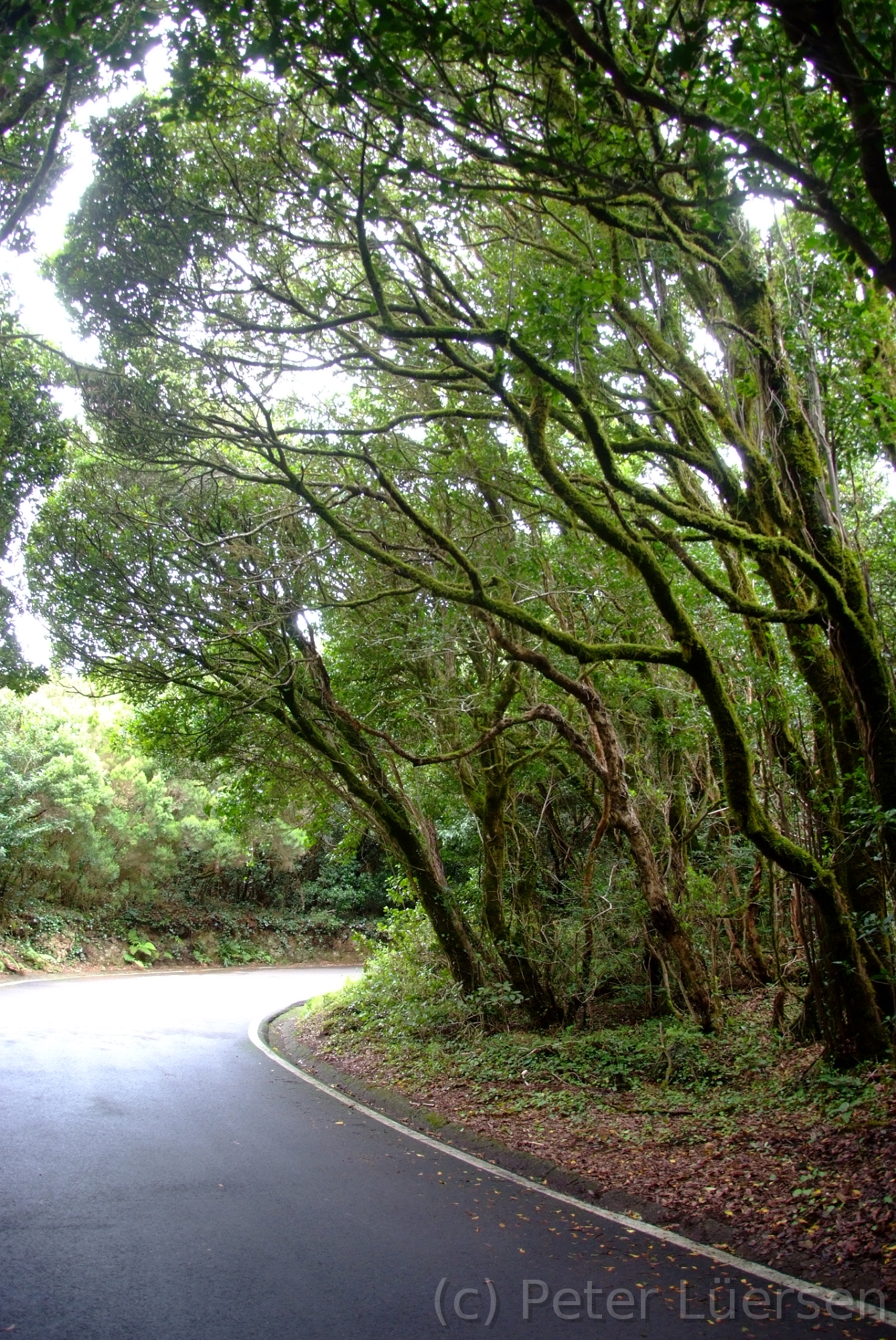 DSCF5628.JPG