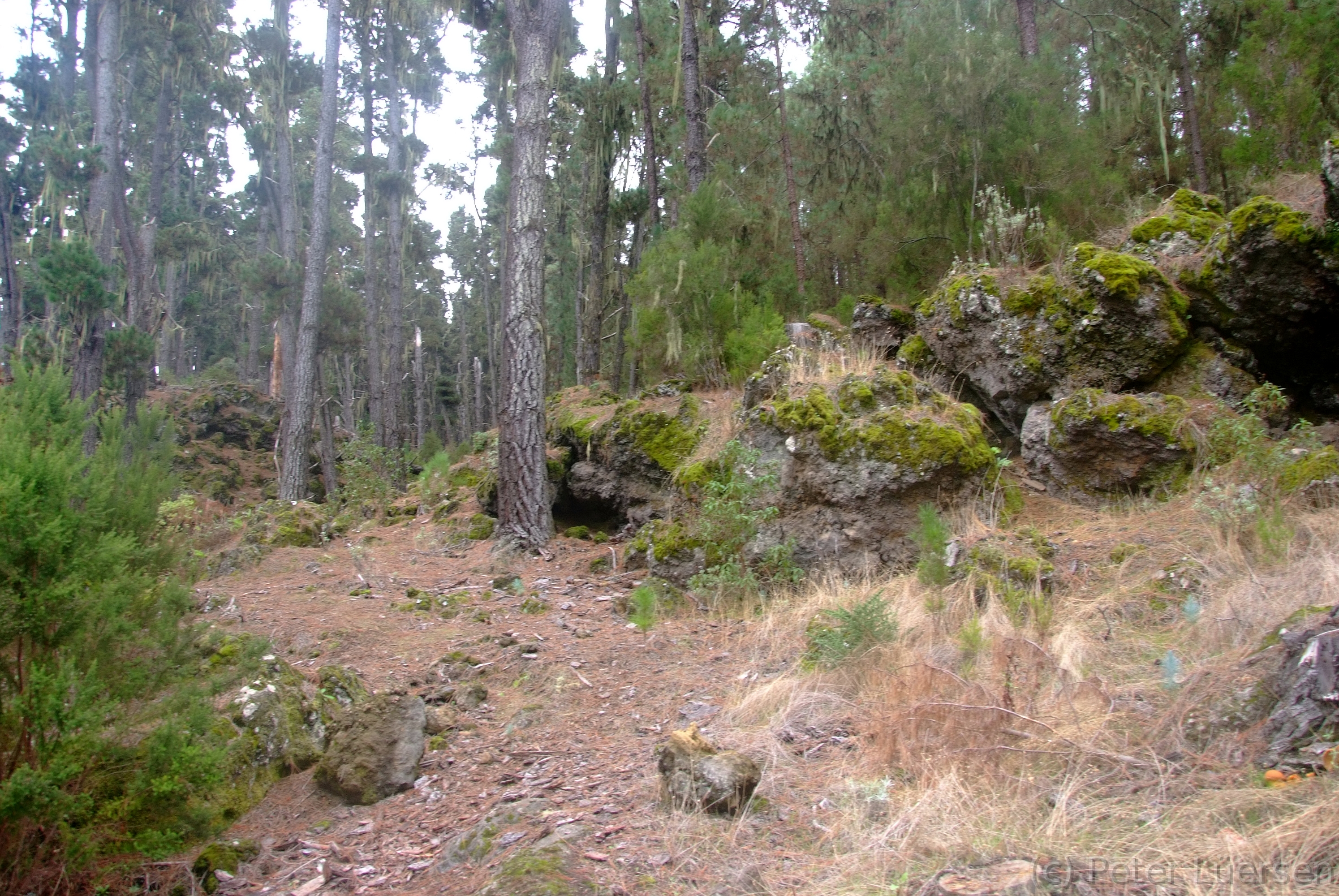 DSCF5649.JPG